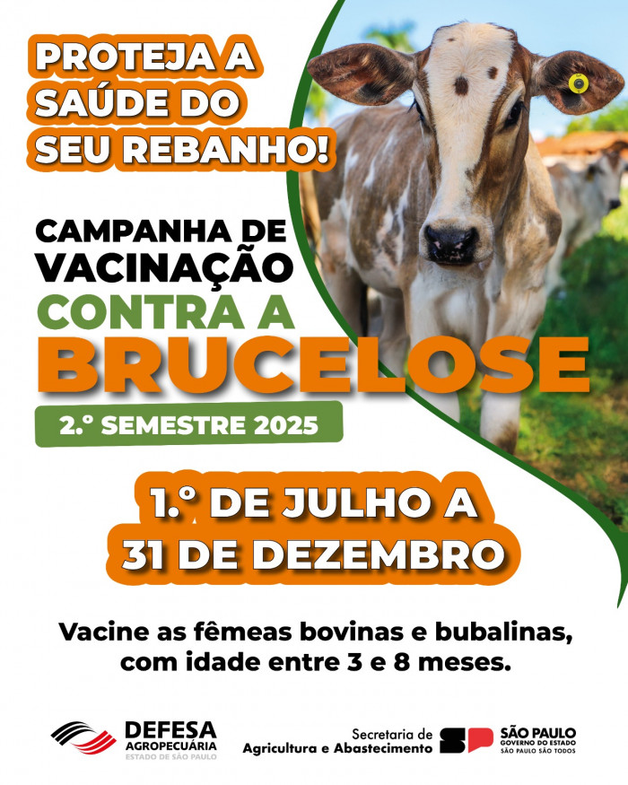No segundo semestre, Campanha de Vacinação contra a doença vai até dia 31 de dezembro em todo o Estado
