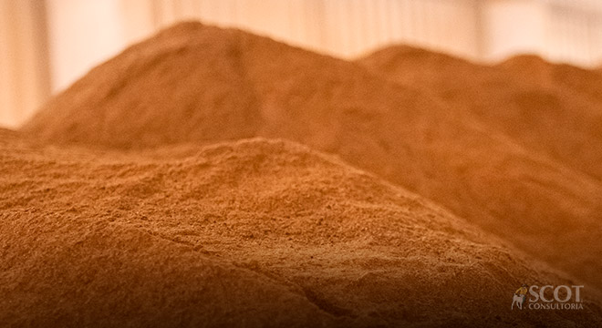 Entre recordes e volatilidade: como o mercado de grãos guiou a pecuária em 2025