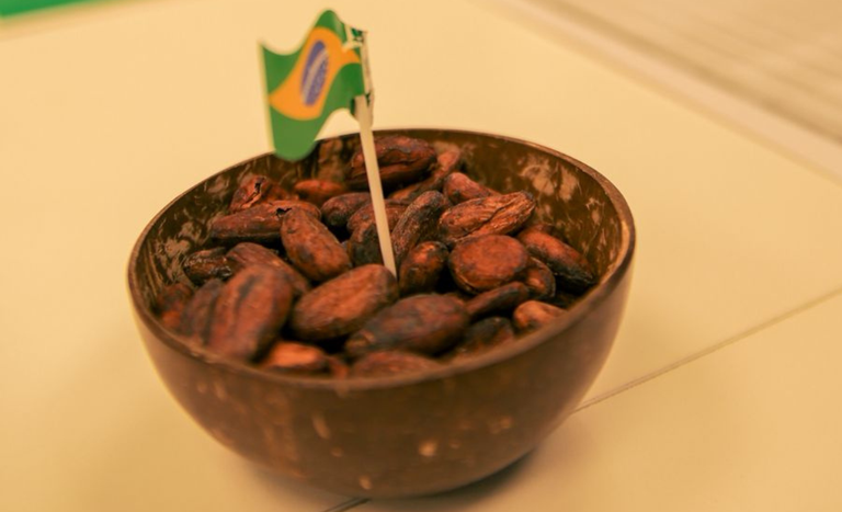 Mapa promove rodada de negócios do cacau na Argentina