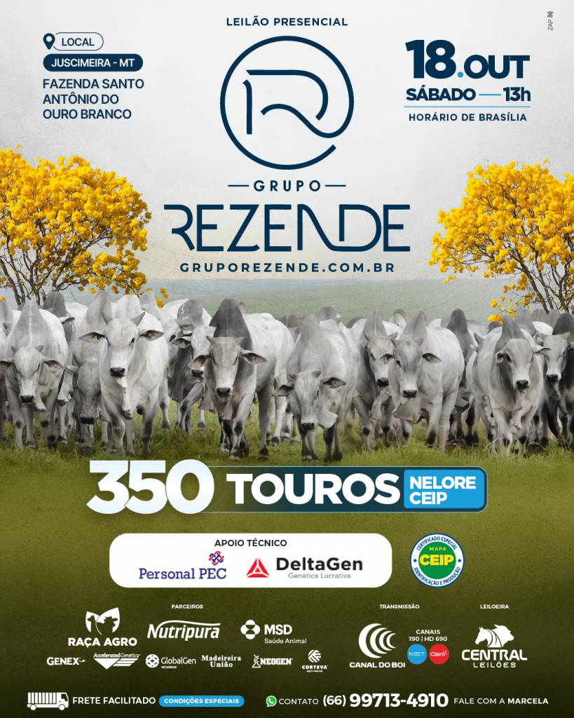Leilão Presencial Grupo Rezende hoje às 13h no Canal do Boi 