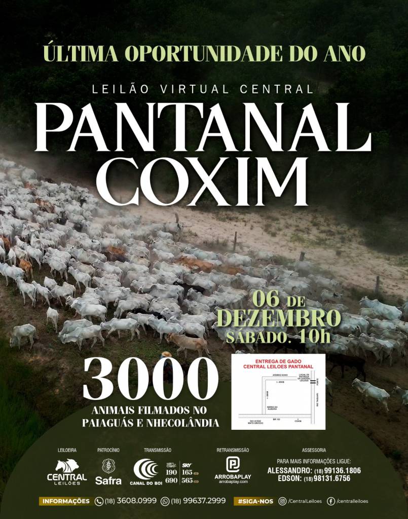 Leilão Virtual Central Pantanal Coxim hoje às 10h no Canal do Boi 