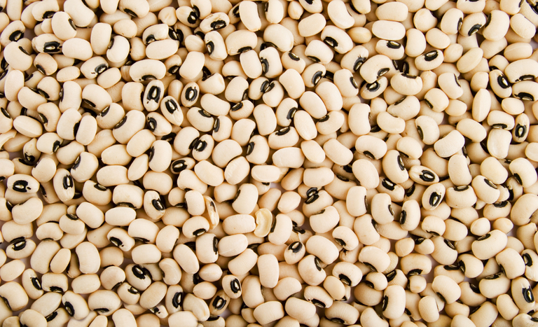 Abertura de mercado para o Brasil na Armênia, em Belarus, no Cazaquistão e no Quirguistão