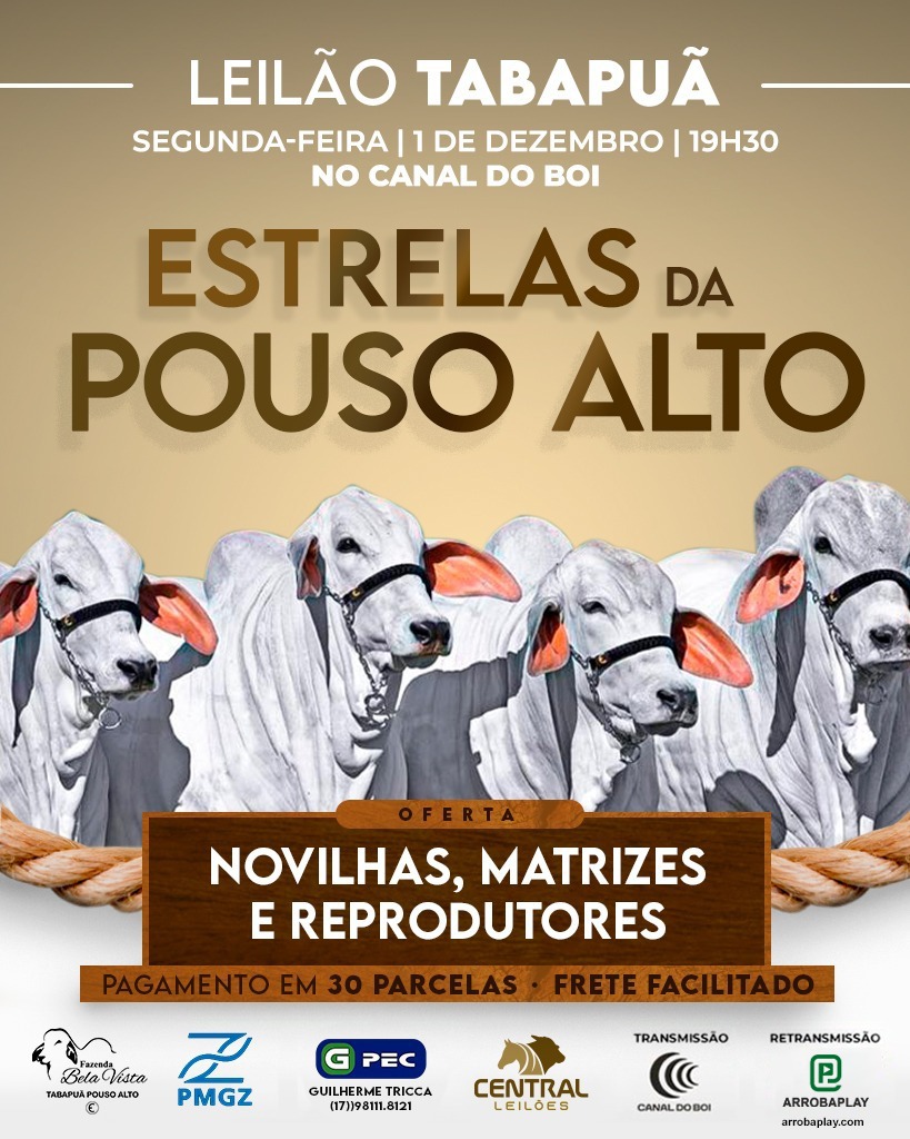 Leilão Tabapuã Estrelas da Pouso Alto hoje às 19h30 no Canal do Boi 