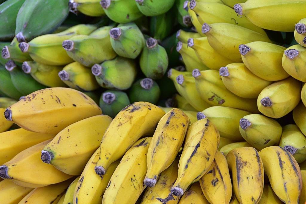Oferta da banana deve reduzir em dezembro