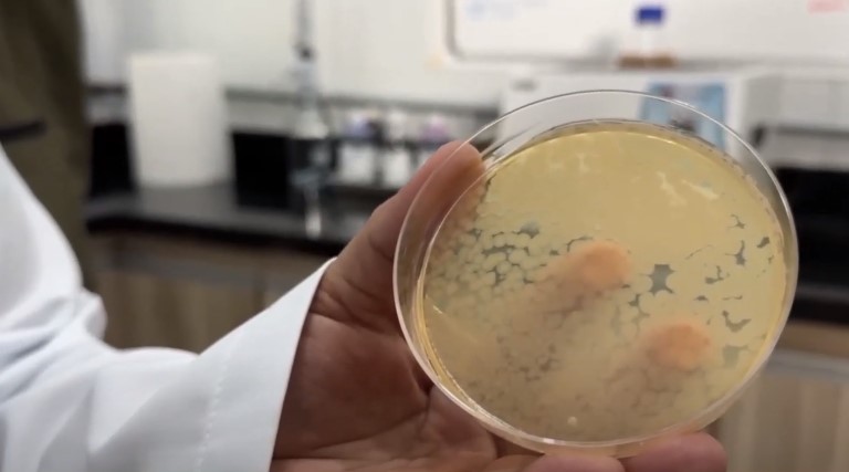 Goiás é destaque na produção sustentável com bioinsumos