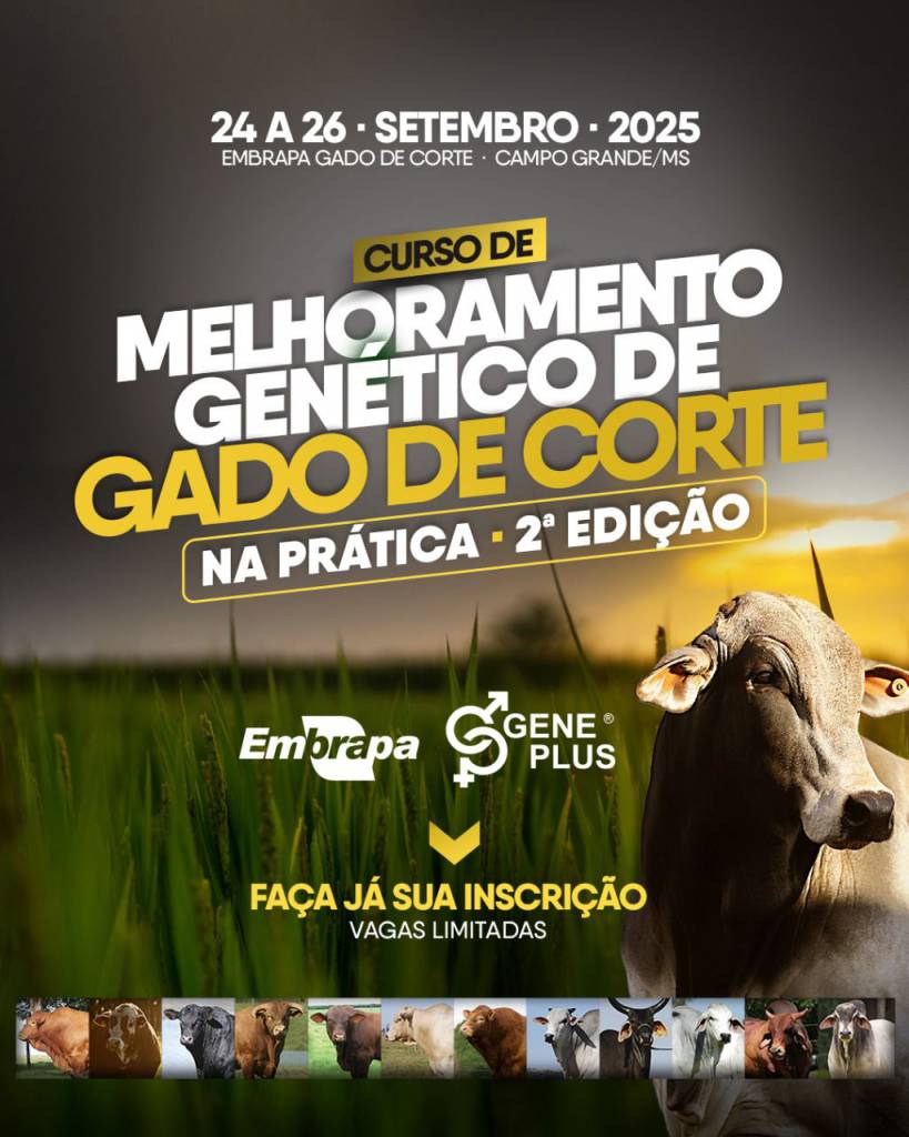 Seleção de gado de corte ganha reforço com curso em melhoramento genético da Embrapa