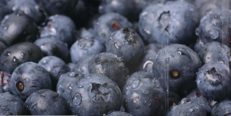 Produção brasileira de frutos nativos está em expansão