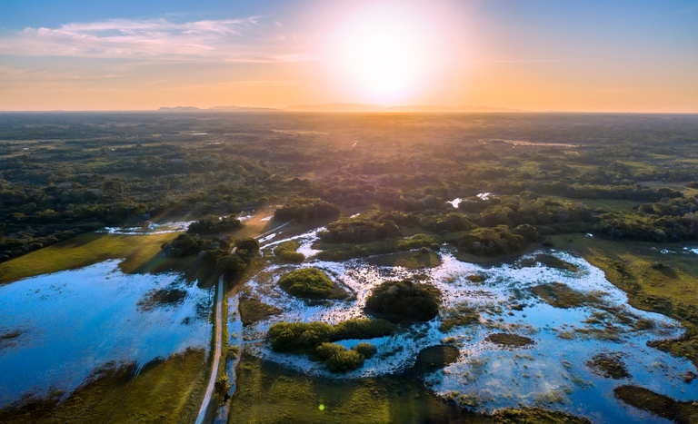 Agropecuária do Pantanal recebe incentivos do Mapa