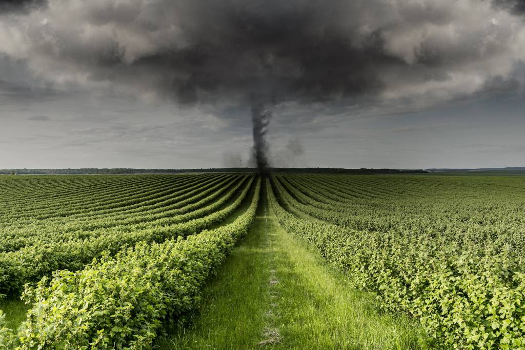 Excesso de chuvas causam prejuízo agrícola no Paraná