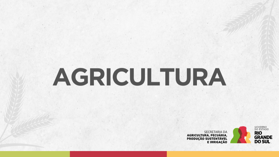 Secretário da Agricultura comemora retirada de tarifas dos EUA de produtos do agrícolas
