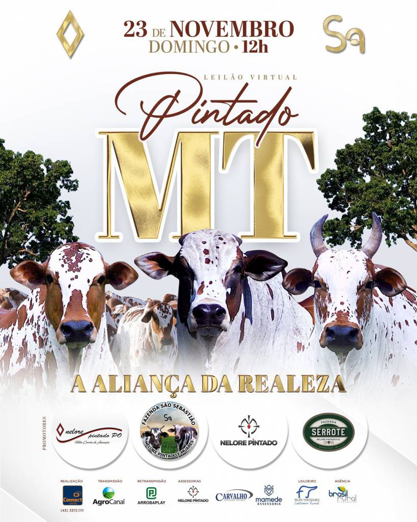 Leilão Virtual Pintado MT hoje no Agro Canal