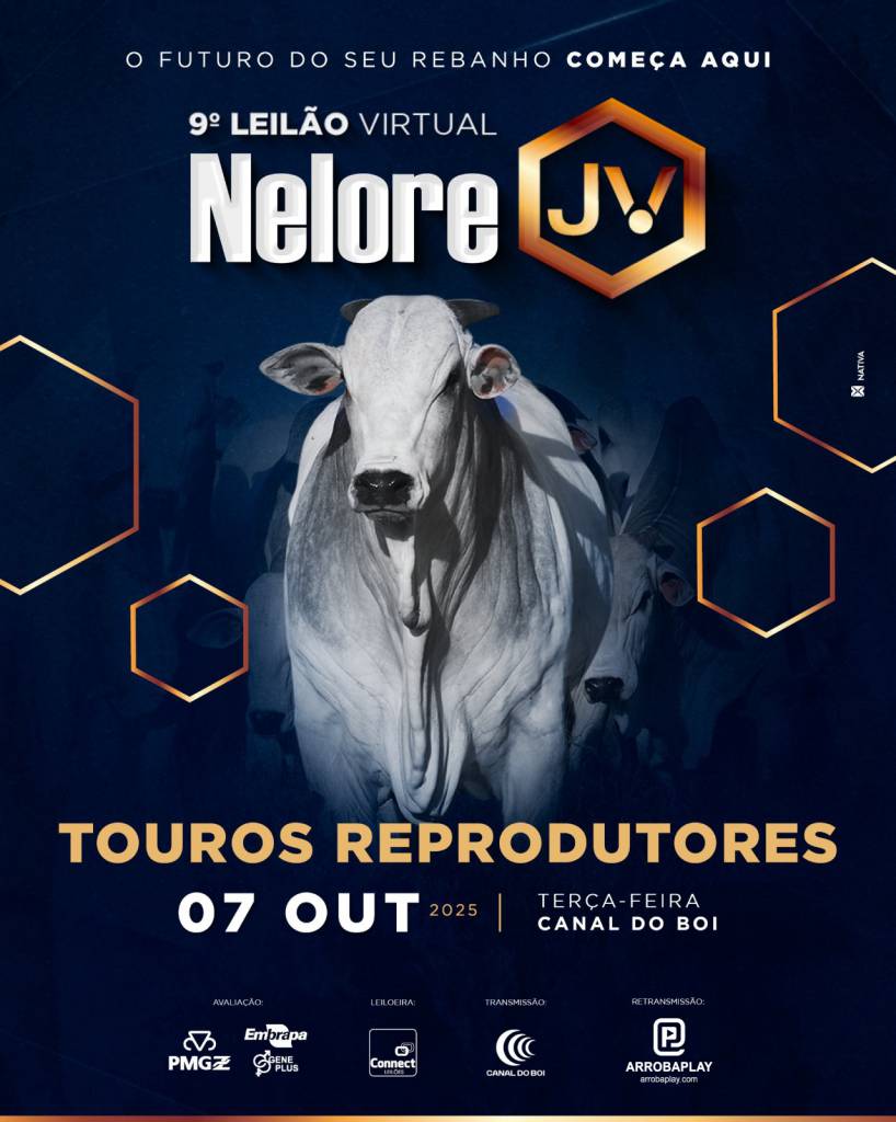 9º Leilão Virtual Nelore JV hoje no Canal do Boi