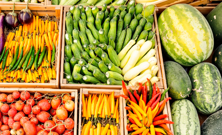 Governo reconhece certificadoras para programas de sustentabilidade no agro