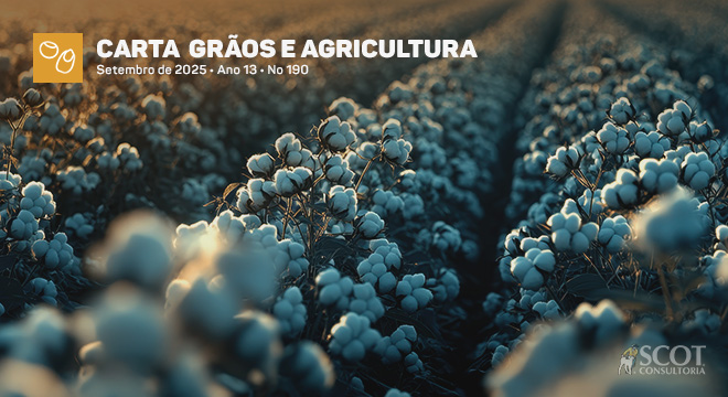  Carta Grãos e Agricultura - Cenário e projeções para o algodão