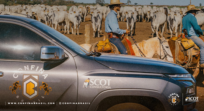 Sinergia agroindustrial, rastreabilidade e cooperativismo: estratégias que intensificam a pecuária do Centro-Sul