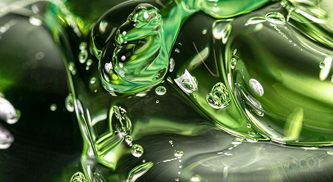 Etanol 50 anos: passado de conquistas, futuro de carbono negativo?