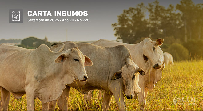 Carta Insumos - A procura por sêmen bovino cresceu no primeiro semestre