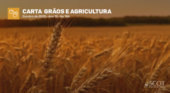 Mercado do trigo segue pressionado com avanço da colheita