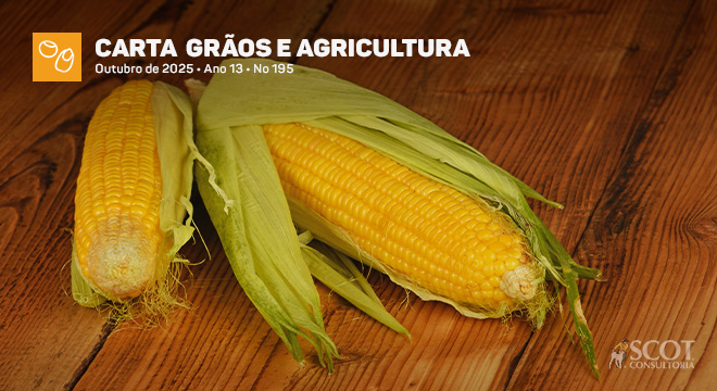 Carta Grãos e Agricultura - Milho a “milhão” na oferta, no preço, nem tanto