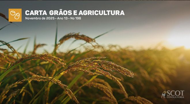 Carta Grãos e Agricultura - Arroz - cenário preocupa agricultores e desestimula investimentos