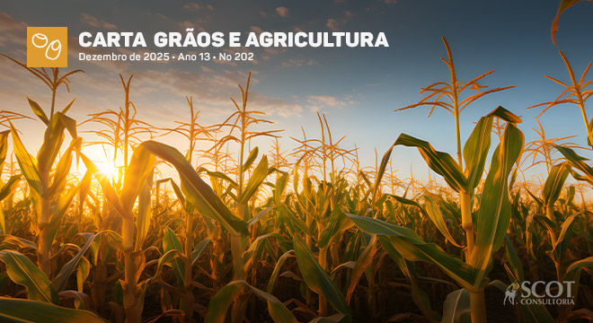 Carta Grãos e Agricultura - Janela de semeadura do milho safrinha em risco?