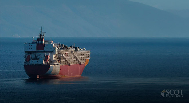 Melhor novembro dos últimos anos na exportação de gado vivo