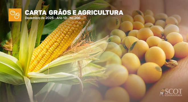 Carta Grãos e Agricultura - Milho e soja: retorno positivo em 2025? O que esperar para 2026?