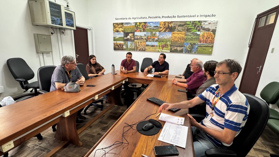 Câmara Setorial discute safra atual da cebola no RS
