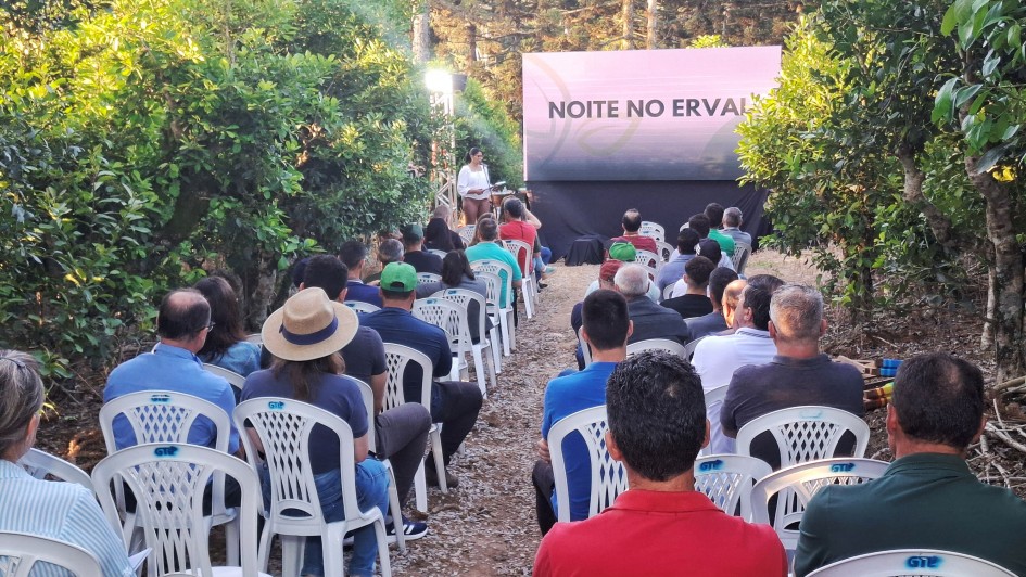 Encontro discute práticas para elevar a produtividade da erva-mate no Alto Taquari