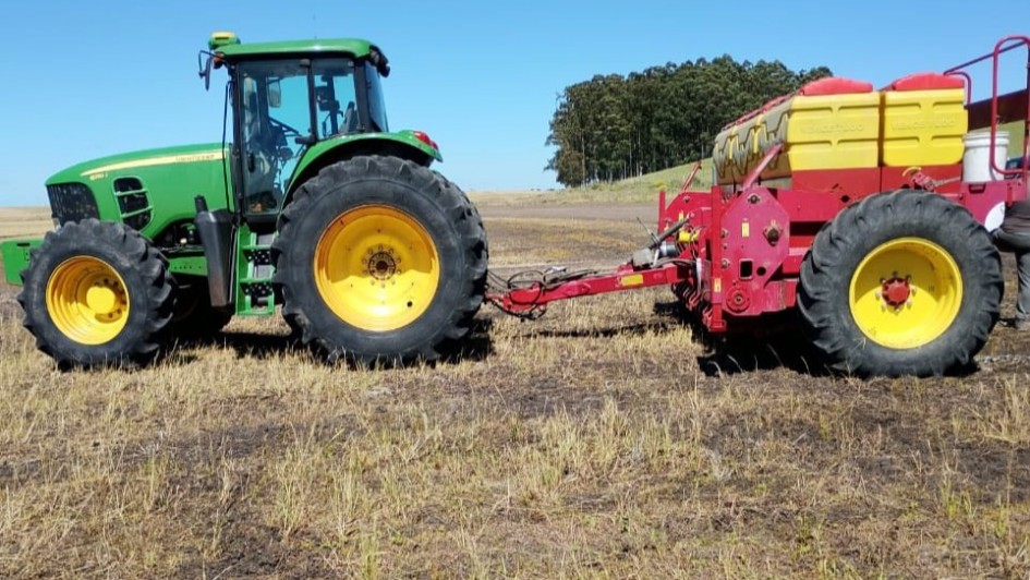 Semeadura do arroz representa mais de 50% da intenção no Rio Grande do Sul