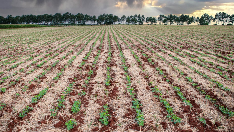 Previsão é de temperaturas elevadas e de instabilidade no Estado do Rio Grande do Sul