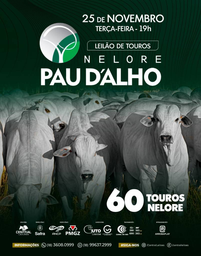 Leilão de Touros Nelore Pau D' Alho hoje às 19h no Canal do Boi 