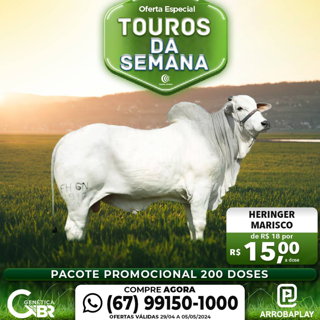 Conheça os touros com venda especial de sêmen desta semana