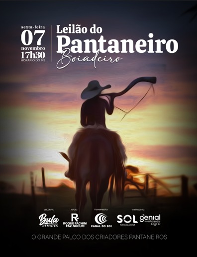 Leilão do Pantaneiro Boiadeiro hoje no Canal do Boi