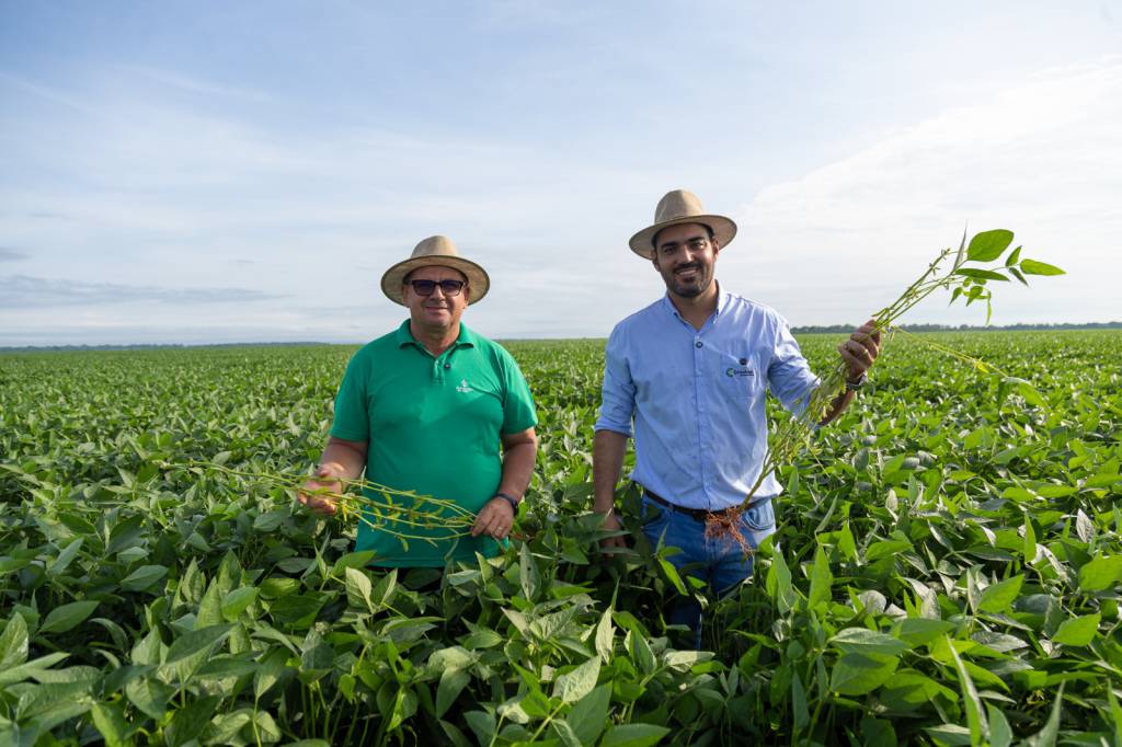 MT Clima e Mercado registra irregularidade climática e pressão de pragas no Leste de Mato Grosso