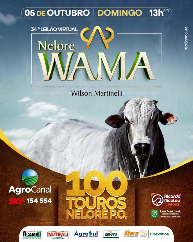 34º Leilão Virtual Nelore Wama hoje no Agro Canal