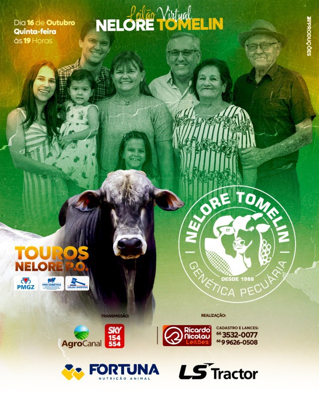 Leilão Virtual Nelore Tomelin hoje às 20h no Agro Canal