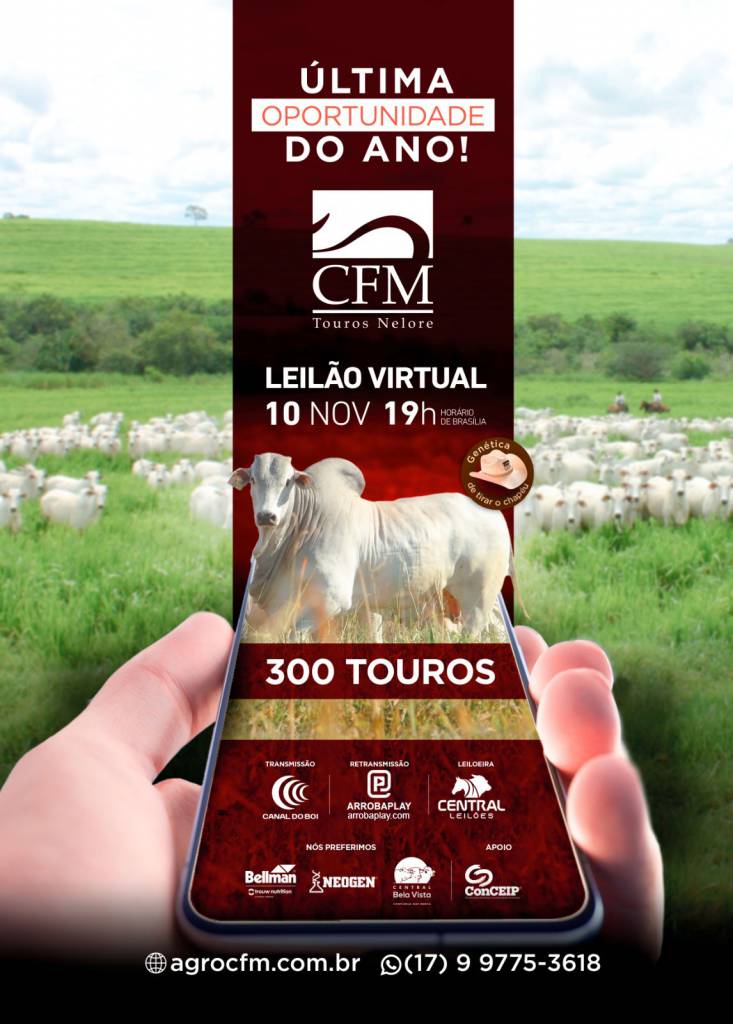 Leilão Virtual CFM hoje às 19h no Canal do Boi 