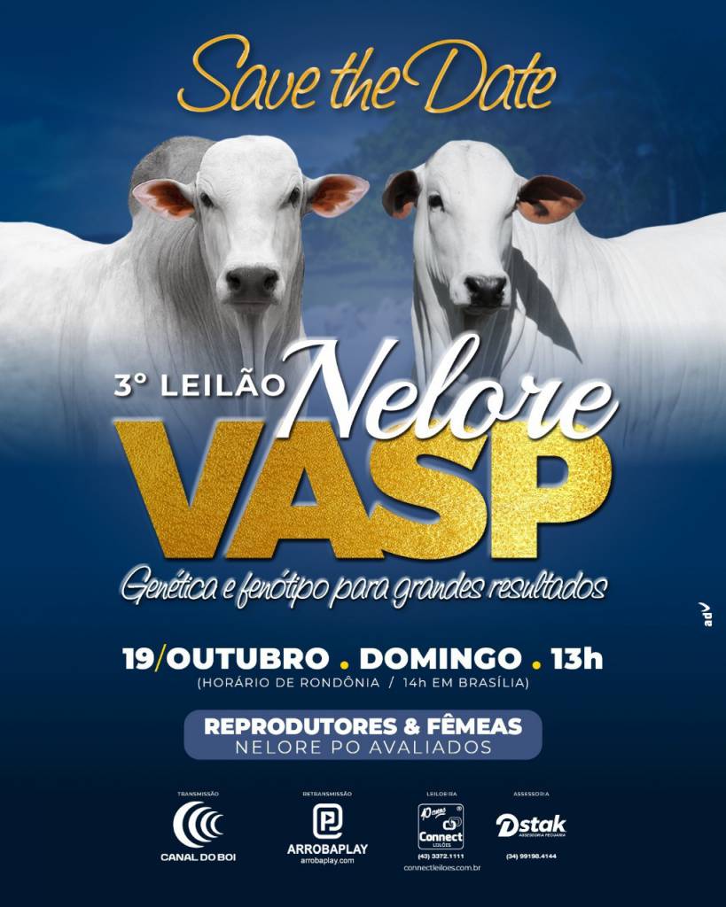 3º Leilão Nelore Vasp hoje às 14h no Canal do Boi