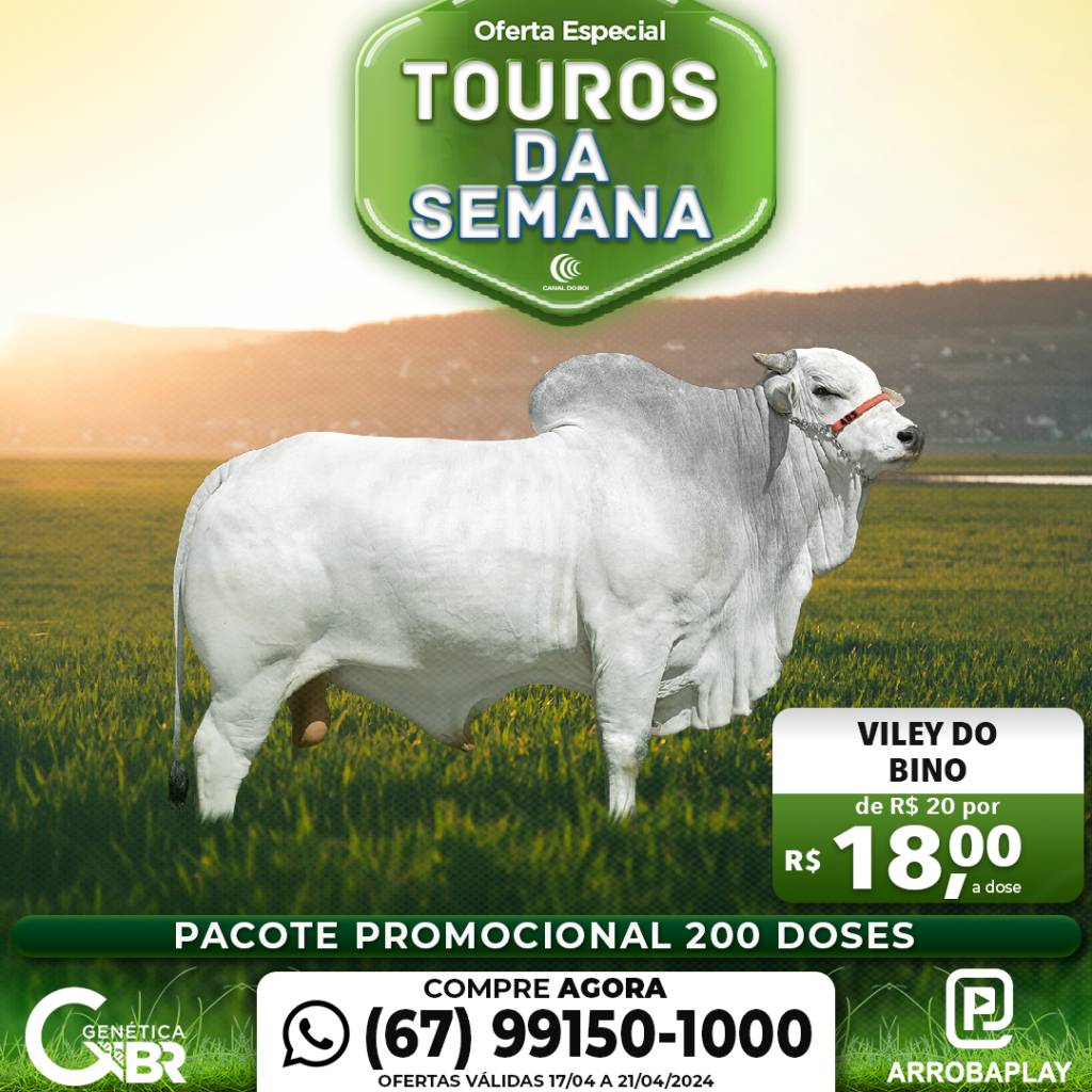 Conheça os touros com venda especial de sêmen desta semana