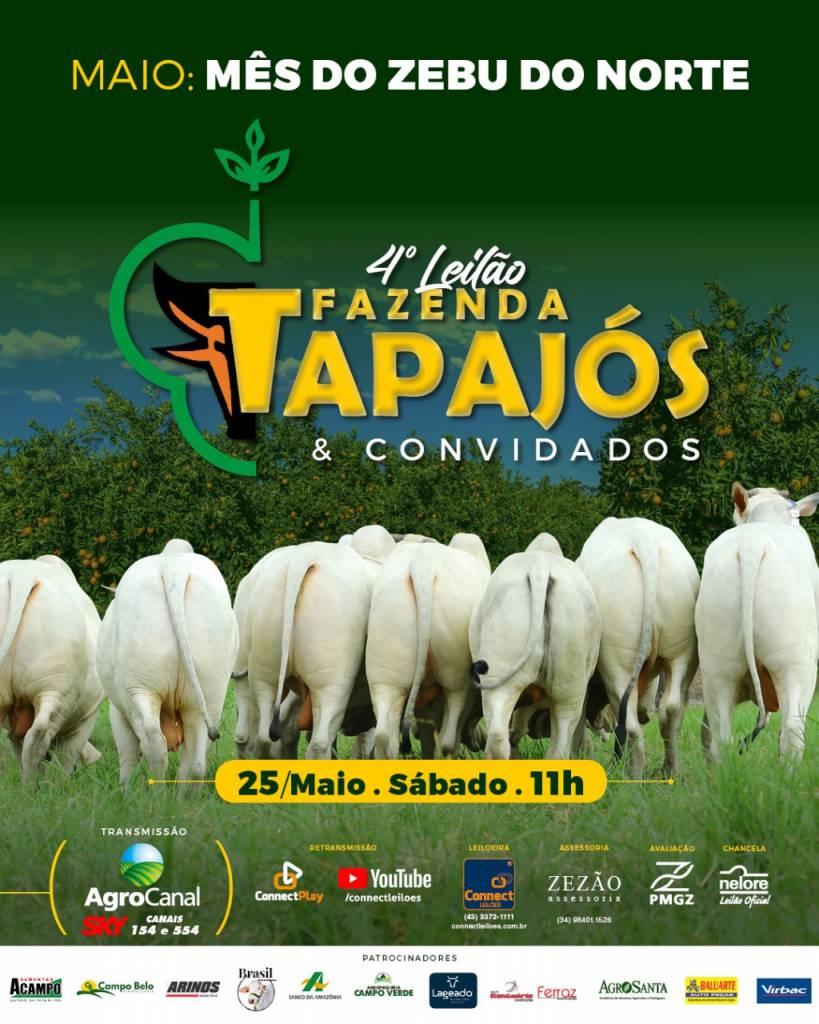 4° Leilão Fazenda Tapajós & Convidados hoje no Agro Canal