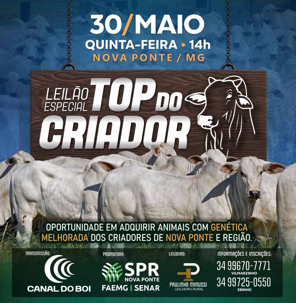 Leilão Especial Top do Criador hoje às 14h no Canal do Boi