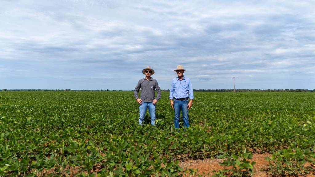 Produtores relatam replantio e prejuízos causados pela falta de chuvas ao MT Clima e Mercado
