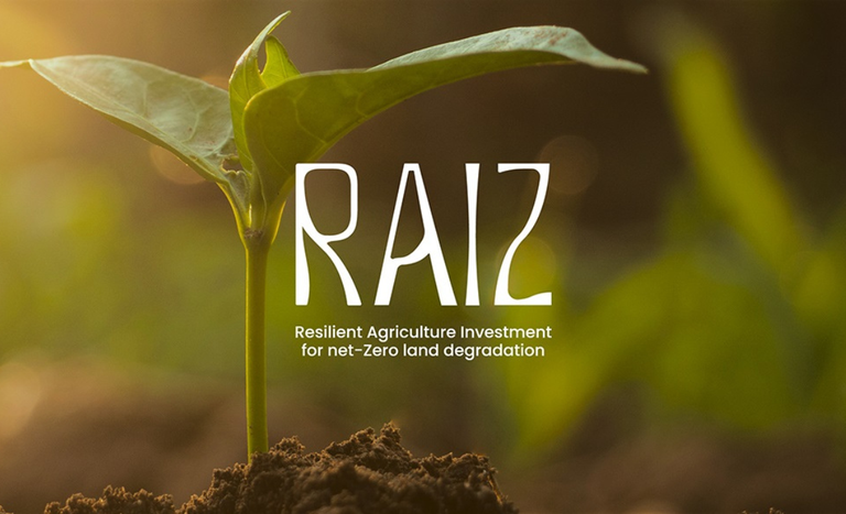 Brasil lança iniciativa global para recuperação de áreas degradadas durante a COP 30