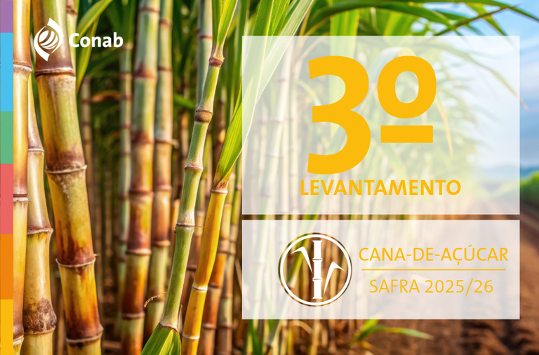 Restrição hídrica impacta produção de cana estimada em 666,4 milhões de toneladas na safra 2025/26