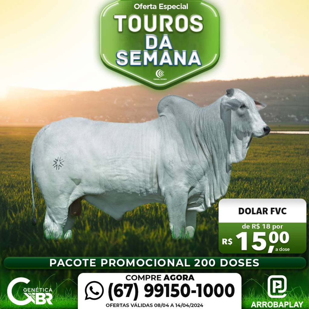Conheça os touros com venda especial de sêmen desta semana