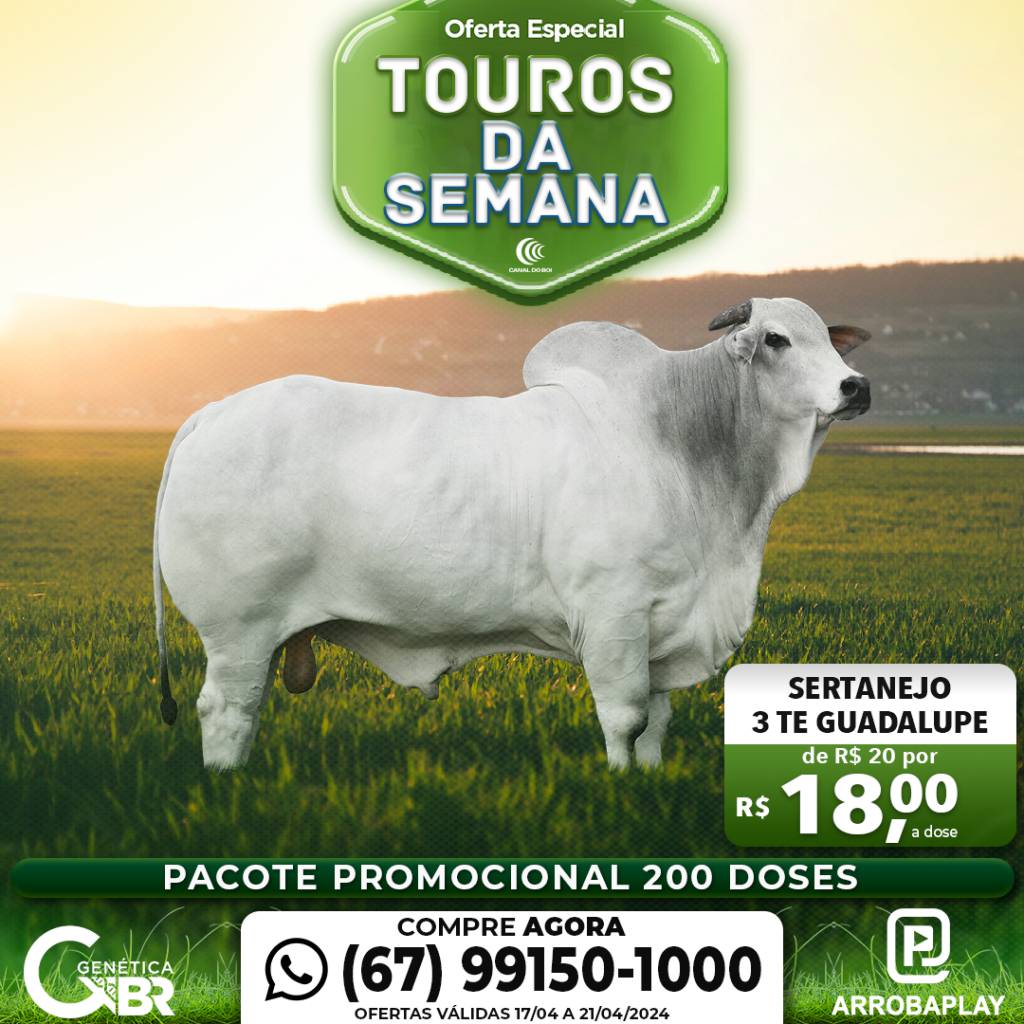 Conheça os touros com venda especial de sêmen desta semana