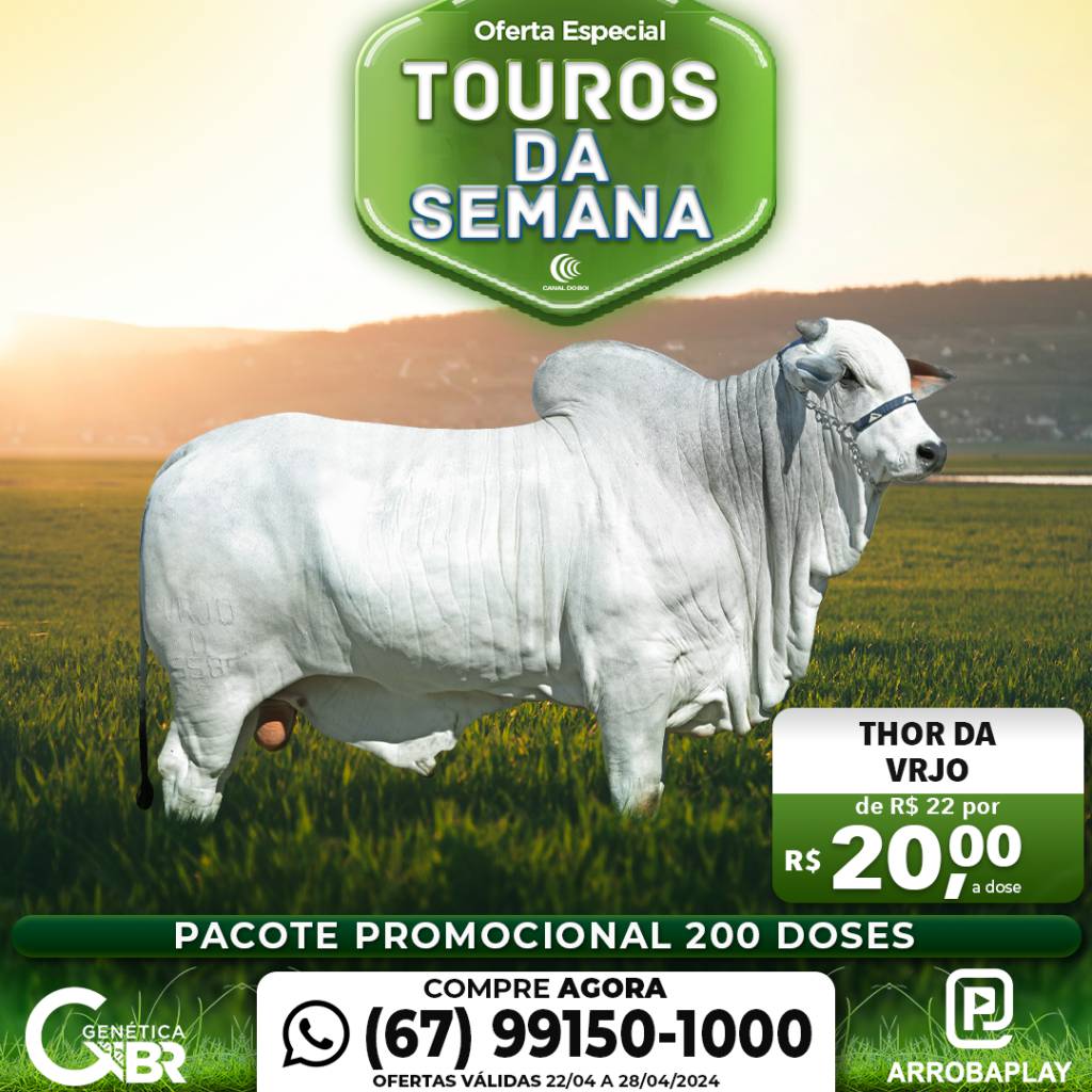 Conheça os touros com venda especial de sêmen desta semana