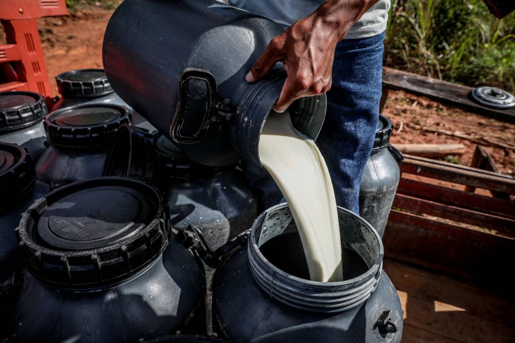 Dados apontam pecuária leiteira como atividade mais desenvolvida na agricultura familiar de MT