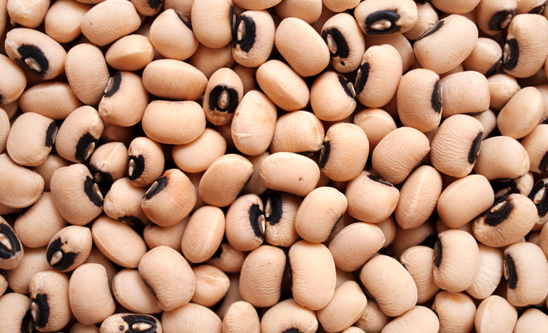 Abertura de mercado para o Brasil na Índia e na Rússia